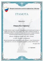 Адвокат Петров Илья Андреевич — изображение 4