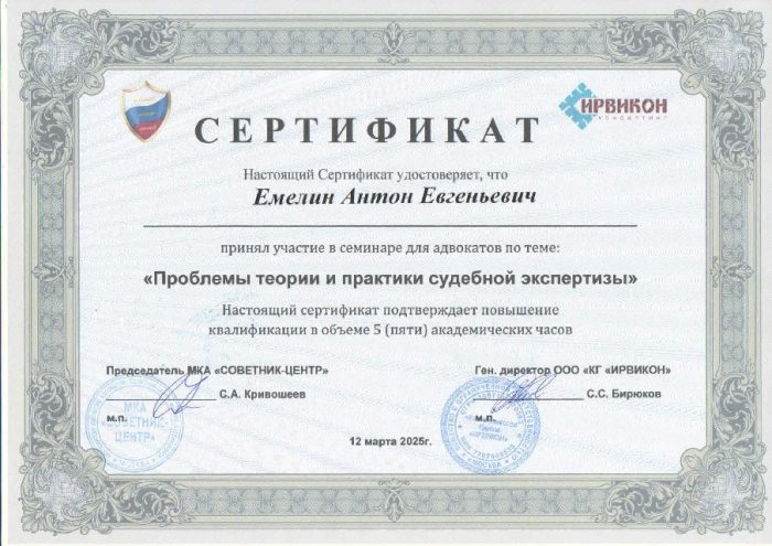 Адвокат Емелин Антон Евгеньевич — изображение 2