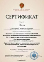 Адвокат Шагин Дмитрий Александрович — изображение 6