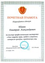 Адвокат Шагин Дмитрий Александрович — изображение 11