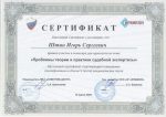 Адвокат Штин Игорь Сергевич — изображение 3