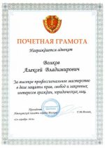 Адвокат Волков Алексей Владимирович — изображение 6